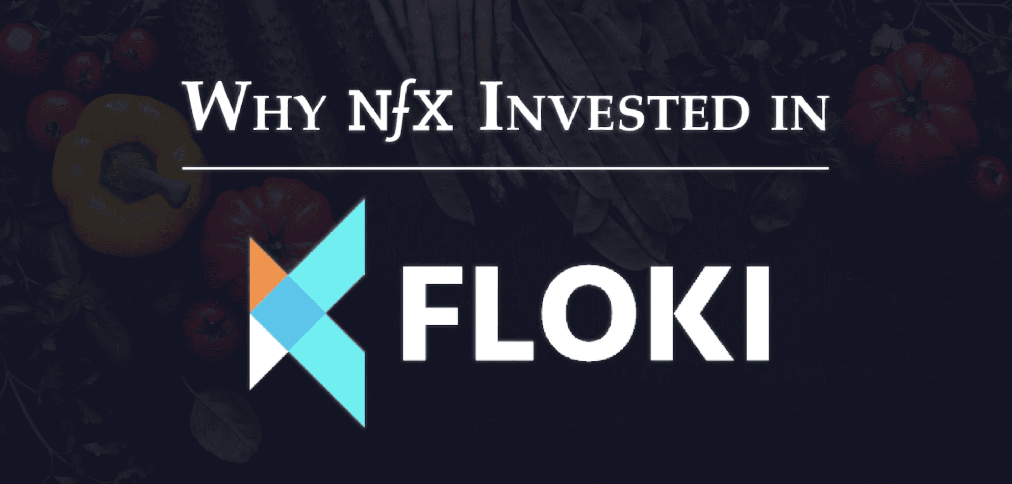 Why NFX Invested In Floki