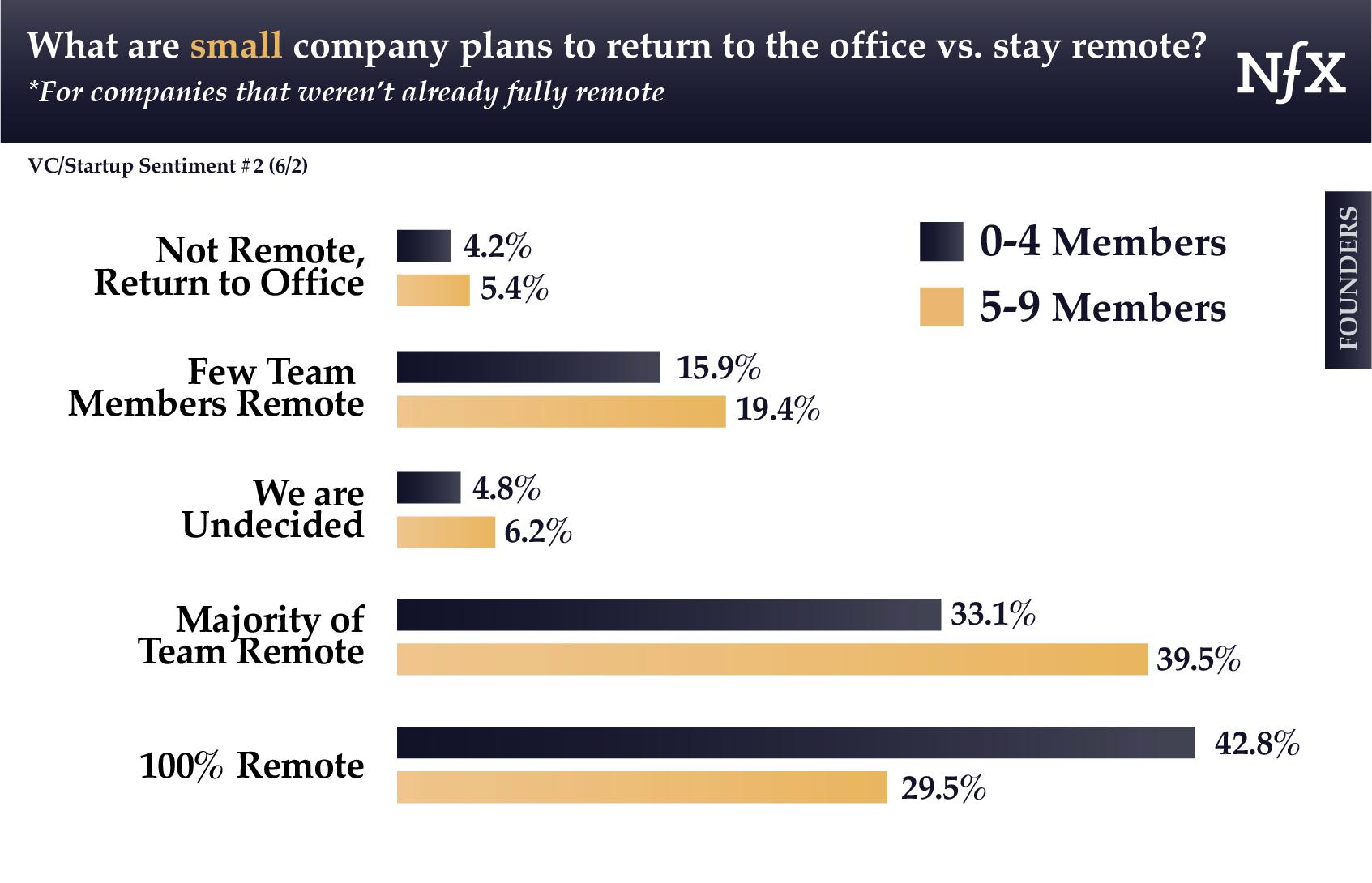 Founders of Small-Sized Remote Teams