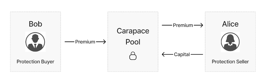 How-Carapace-Works