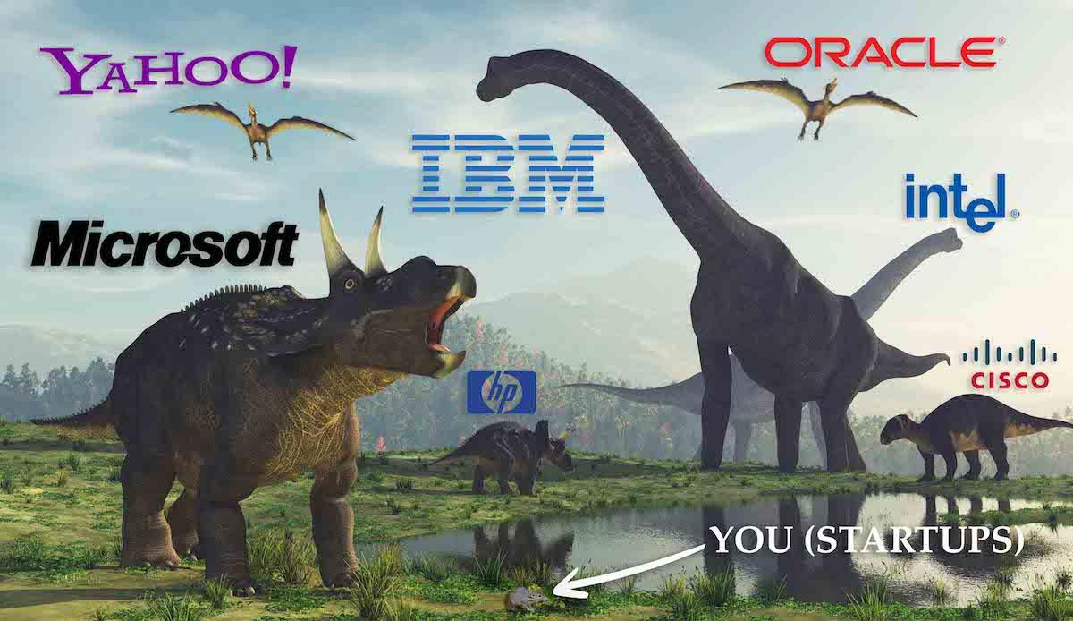Dinosaur companies vs. startups