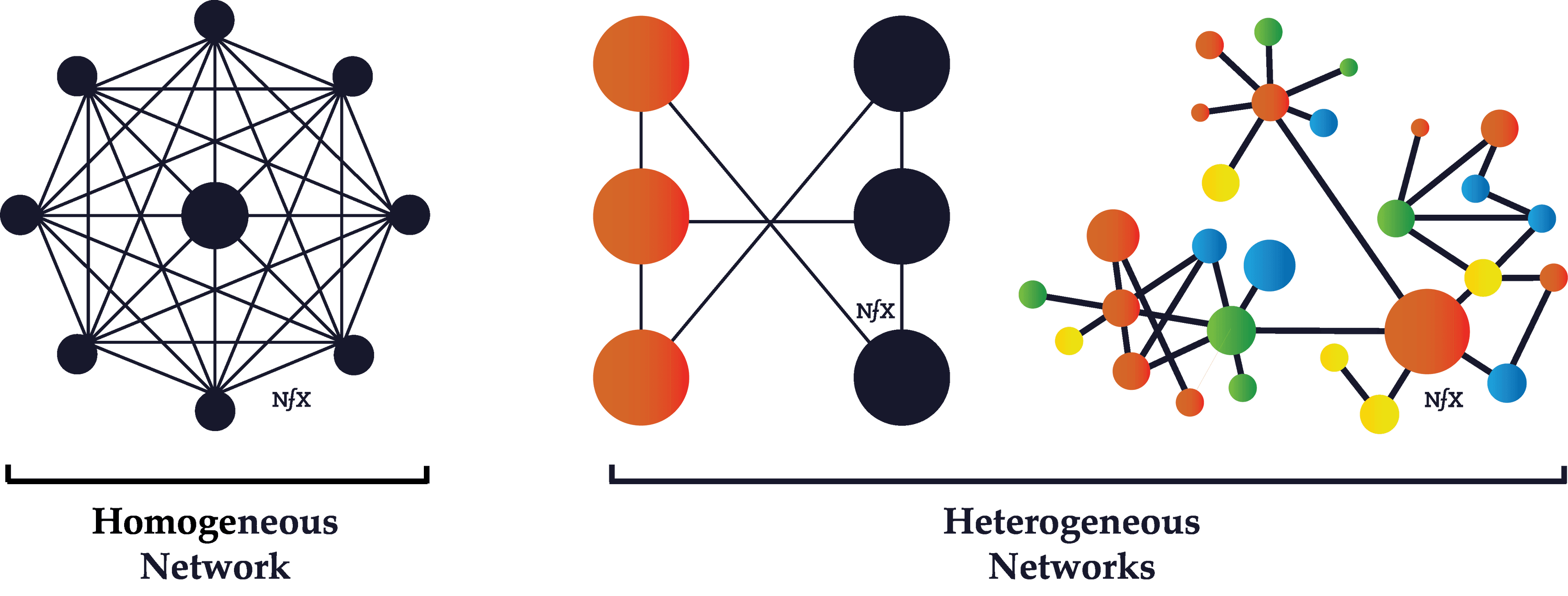 Homogeneous vs. Heterogeneous Networks