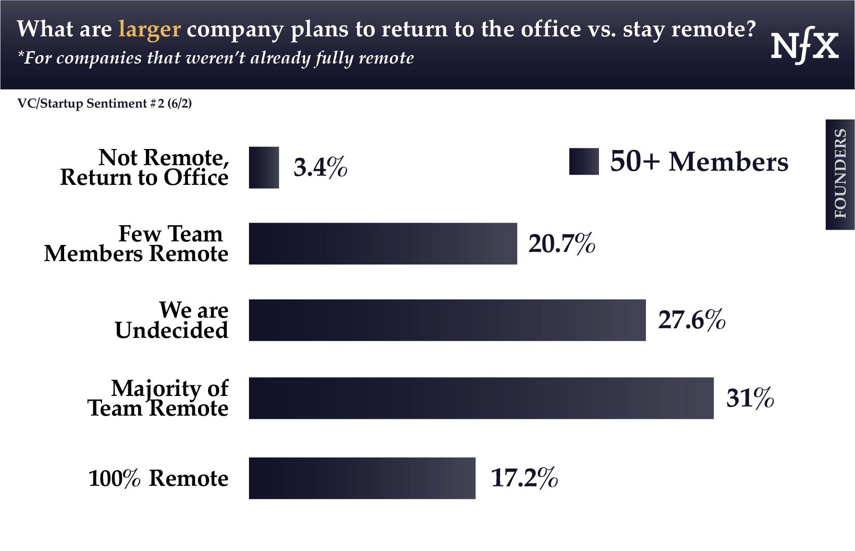 Founders of Large-Sized Remote Teams