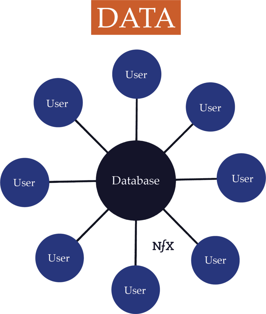Data Network Effect